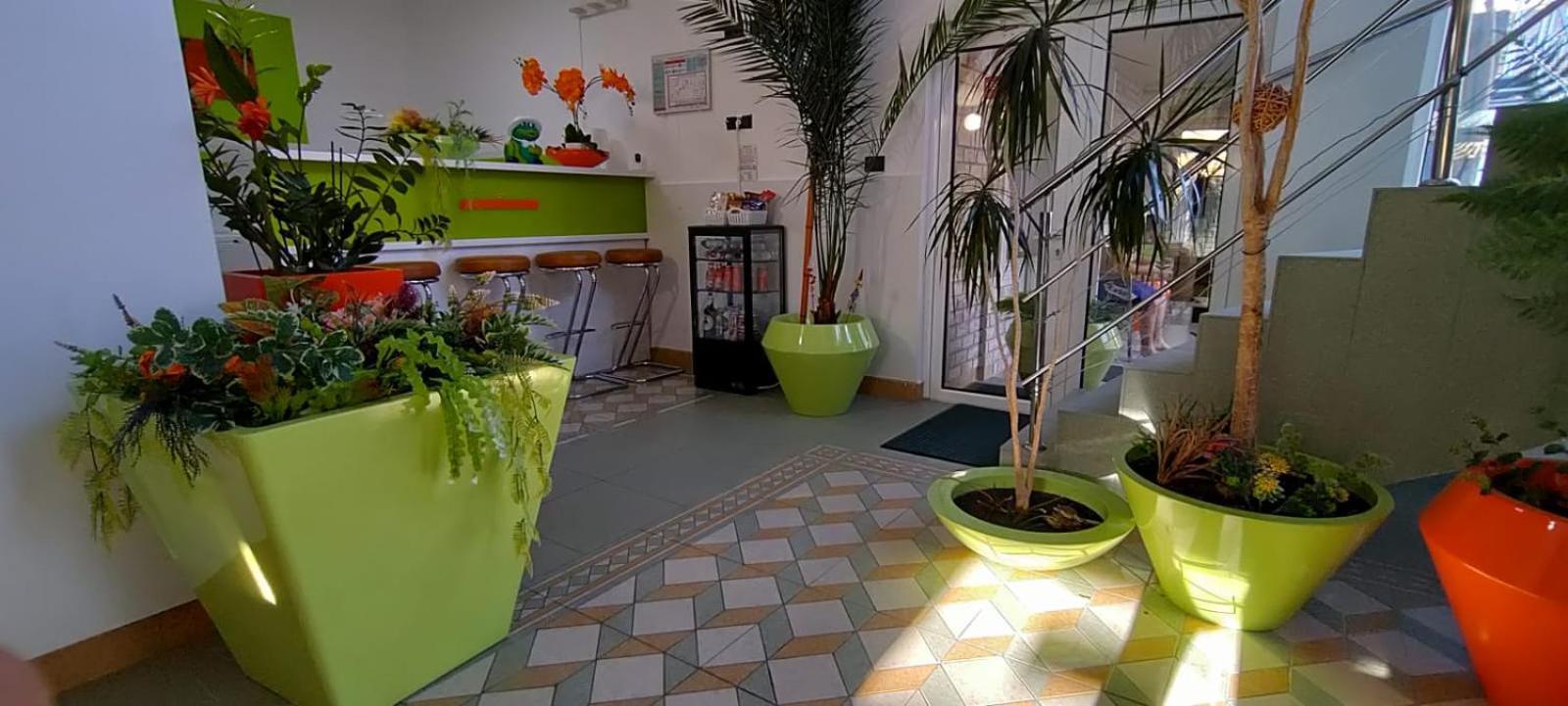 Pensiunea Sergiu & Geanina Arad Exterior foto